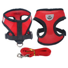 Load image into Gallery viewer, Mesh Small Dog Harness and Leash
