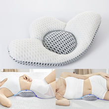 Load image into Gallery viewer, Buckwheat Pregnancy Pillow