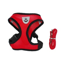 Load image into Gallery viewer, Mesh Small Dog Harness and Leash
