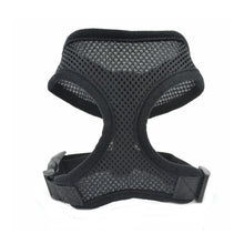 Load image into Gallery viewer, Mesh Small Dog Harness and Leash
