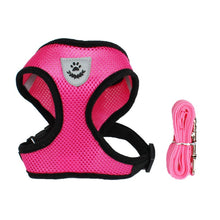 Load image into Gallery viewer, Mesh Small Dog Harness and Leash
